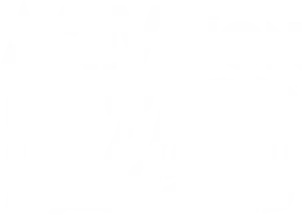 Activision Blizzard