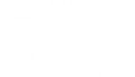 Ally